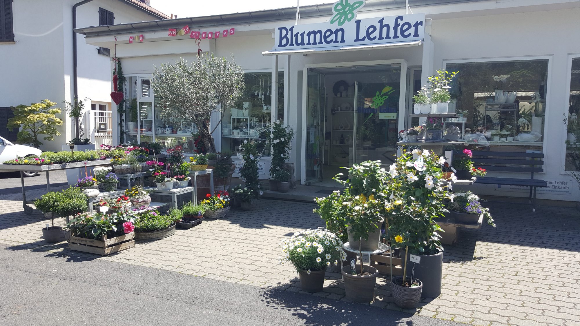 (c) Blumen-lehfer.de
